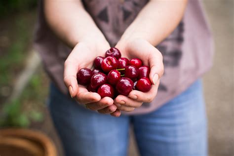 Integrated cherry solutions: post.